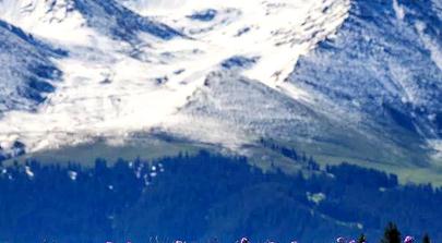 汱½˹+ľ+ɿк87ΣƵ+̲+ɽ+ħ+ɽ++ŶͨɳĮ+ǣ