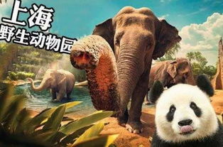 �Ϻ���������������