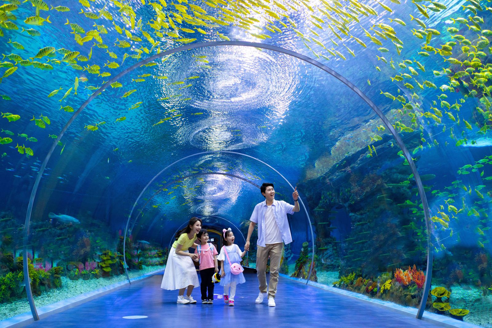 �Ϻ���������������