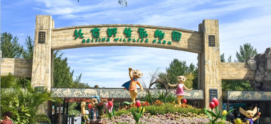 ������������������