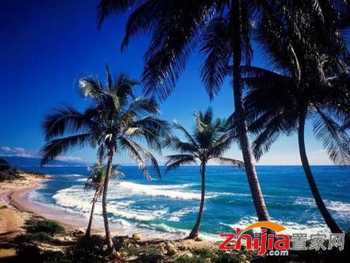 ������������˽����