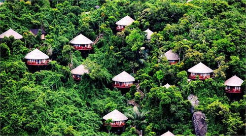 ������������������