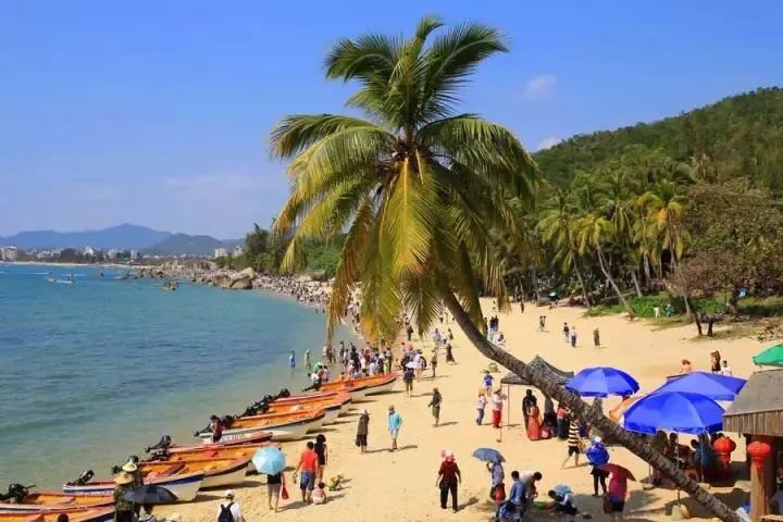 ������������˽����