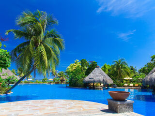 ������������˽����