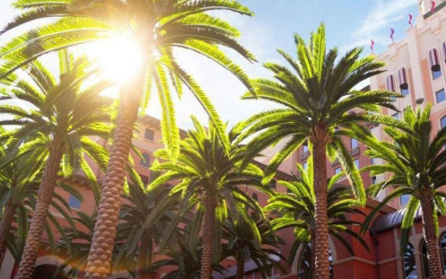 ������������������