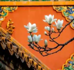 ������������������