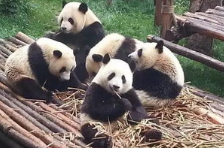 �ɶ�������������