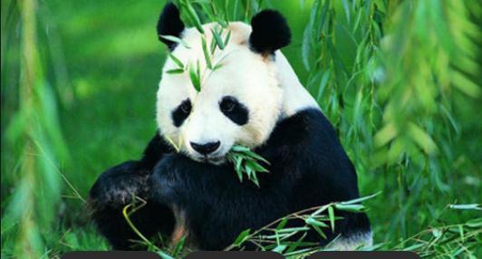 �ɶ���������