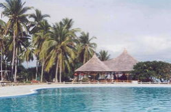 ��������������������·���