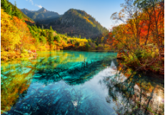 �ɶ���������������