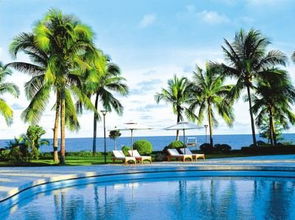 ��������������������·���