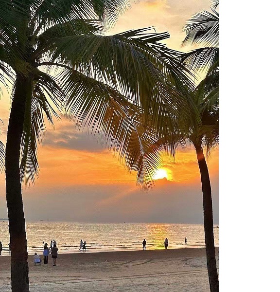 ������������������