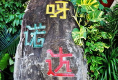 ������������������