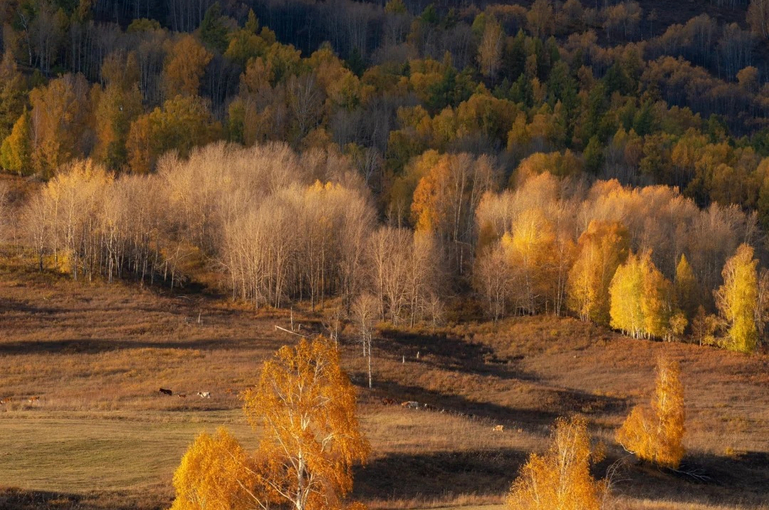 ½³ľ+ʲ+ʲų+ŵ++⳵+98