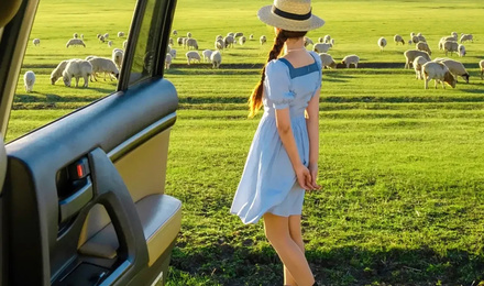 �½����绷�ߡ�����ľ��+����+ǡ��+������8�ն�����