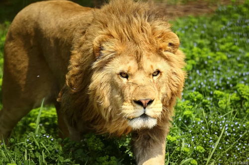 �Ϻ�����������������·���