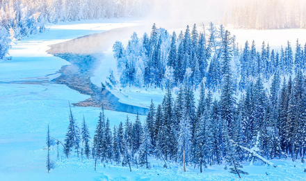 ����ӡ�󡤿���˹+��ɽ���+����ľ��+������������10�ն�����