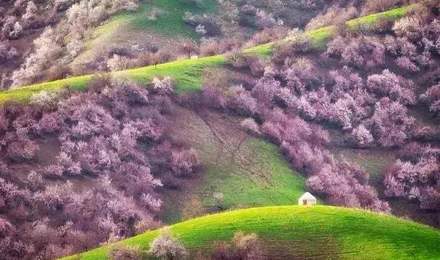 ��ɳ�����½���³ľ��+����+�ӻ���+������+����ľ��+��ɽ�Ӵ�Ͽ��+��ľ����ɳĮ+��³��8��7�������У������ӻ�+�����޶���