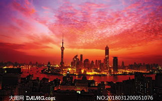 �Ϻ���������������