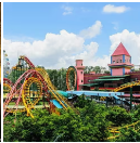 ��������������������·