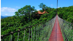 ������������������