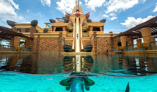 ��������������������·���