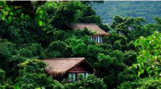 ������������˽����