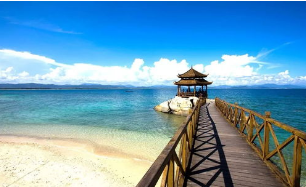 ��������������������·���