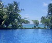 ��������������������·���