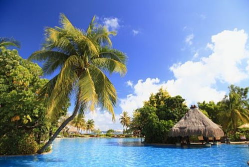 ��������������������·���