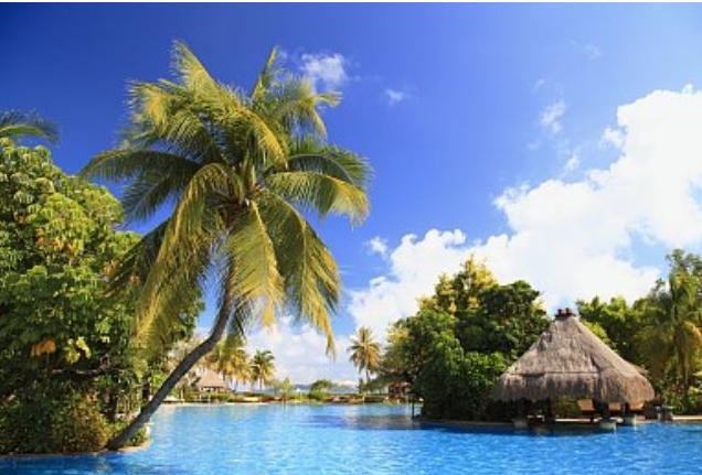 ������������������˽����