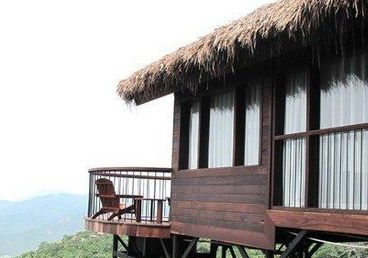 ������������������