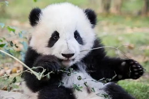 �ɶ���������˽����