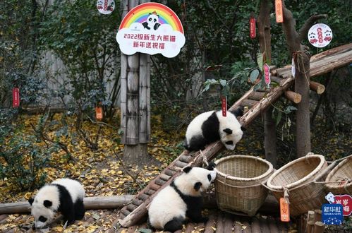 �ɶ���������˽����