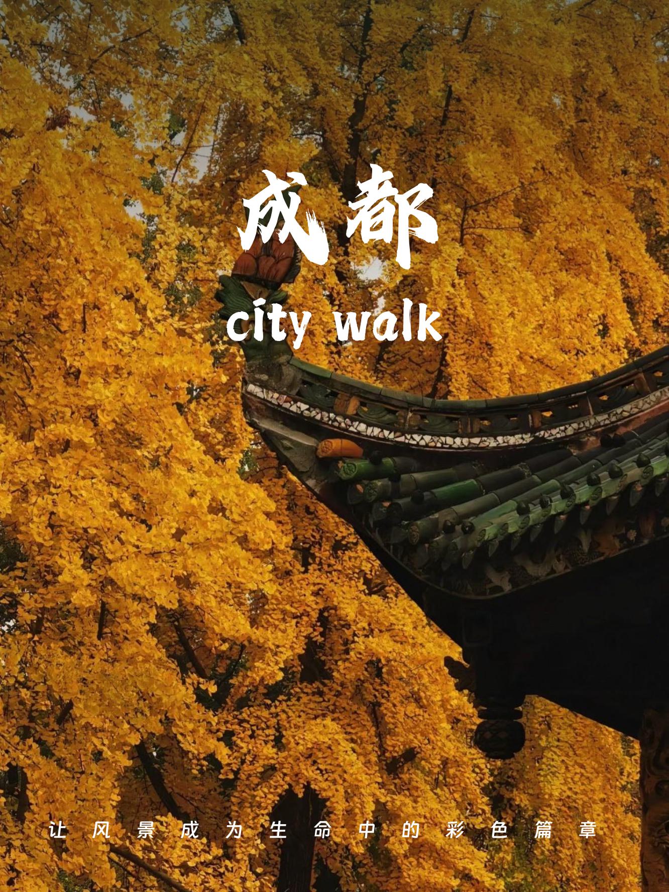 �ɶ���������������