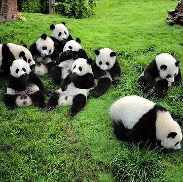 �ɶ���������������