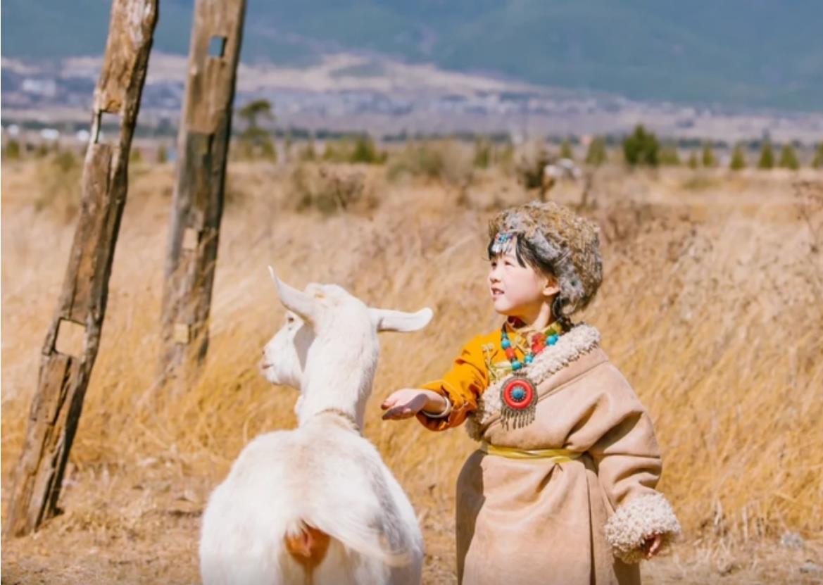 ����5��4��