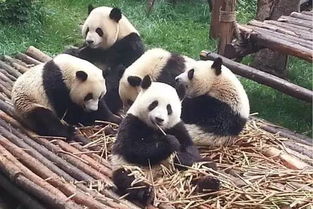 �ɶ�����������������·���