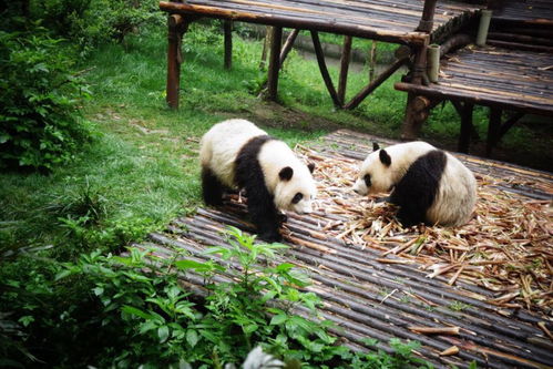 �ɶ�����������������·���