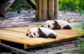 �ɶ�������������˽����