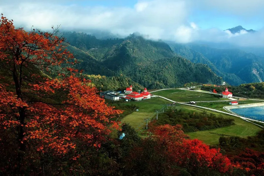 �ɶ���������������