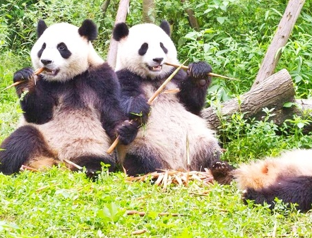 �ɶ���������������