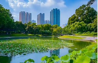 �ɶ�����������������·���