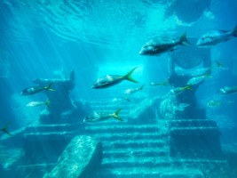 �ʼҼ��ձȹ������֡�������׺�5��4�� �ǰ�(����)