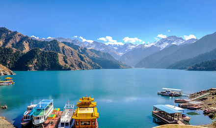 �½�����+��ɽ���+����ľ��+������+��³������ɽ˫�ɴ���8����