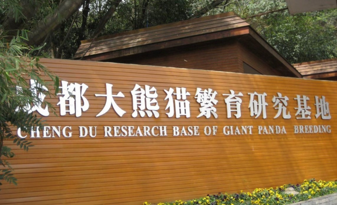 �ɶ���������������