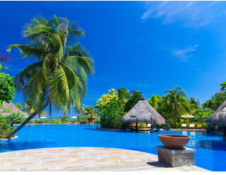 ������������������