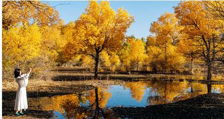 �½���³ľ��+��ʲ6��5��������