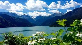 ����ӡ�󡤿���˹+��ɽ���+����ľ��+�������