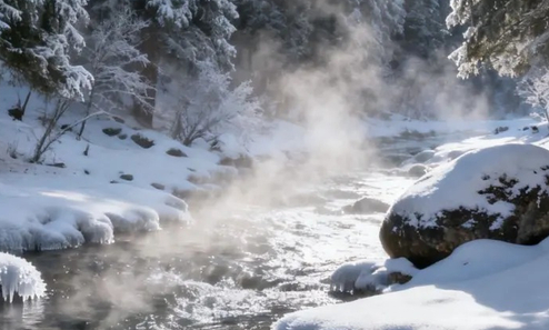 �½���³ľ��+����+����˹5��4��������